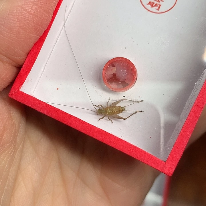 100大哈哈哈哈哈哈哈哈