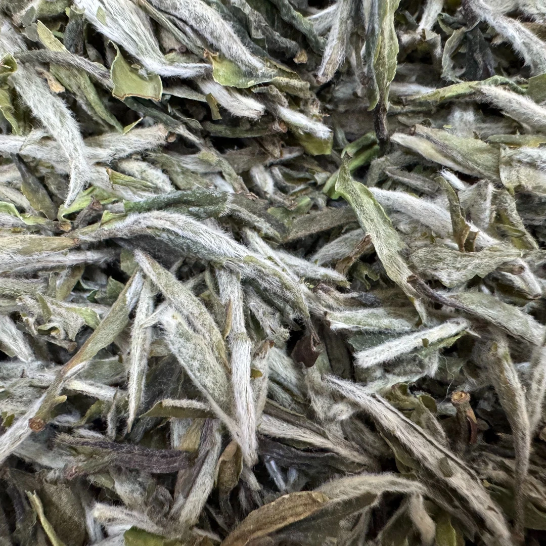 【郑董生日会宠粉】福鼎核心产区牡丹王白茶-郑董源头收好茶