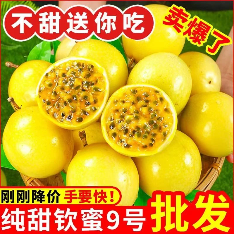 【13个装】钦蜜九号黄金百香果50-60g配开果器  坏果包赔