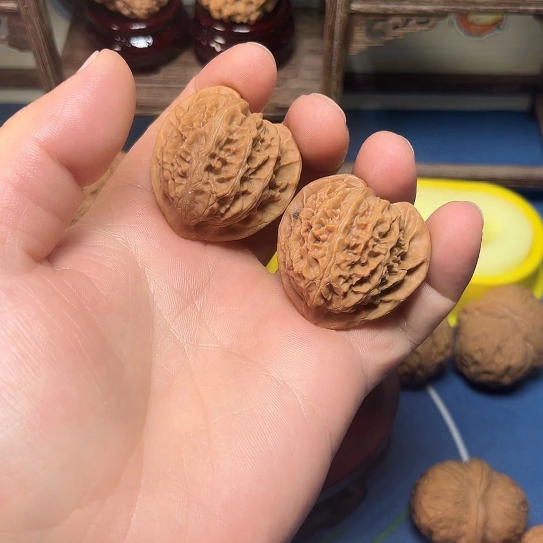 向***北宫灯宫灯宫灯宫灯