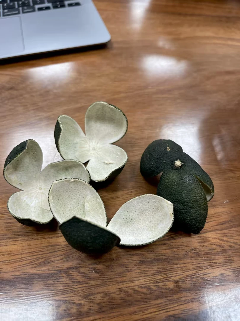 2025年新会天马圈枝三花青（带果蒂）