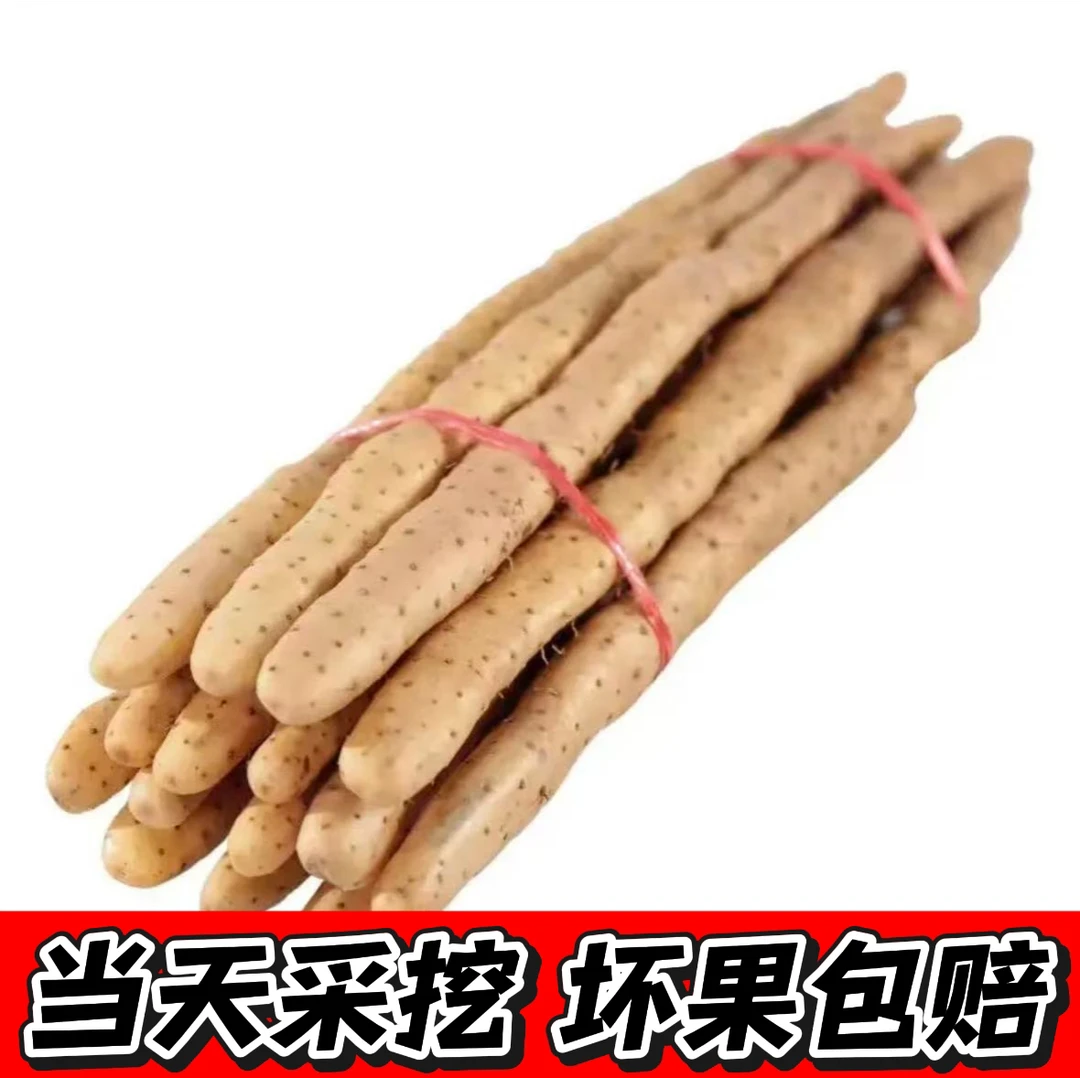 正宗蠡县铁棍山药新鲜现挖滋补火锅食材软糯甘面40往上