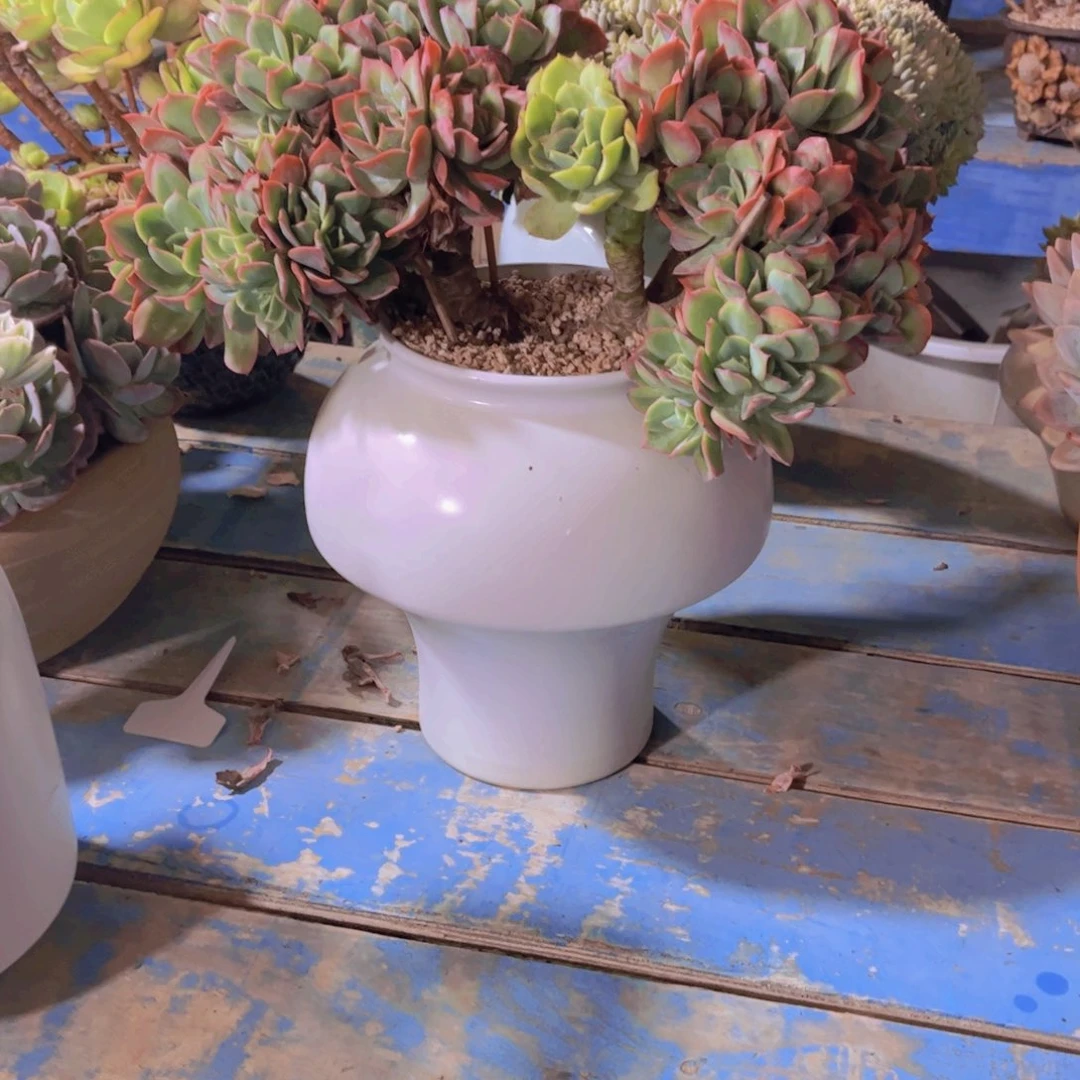 冉*多内涵的时候