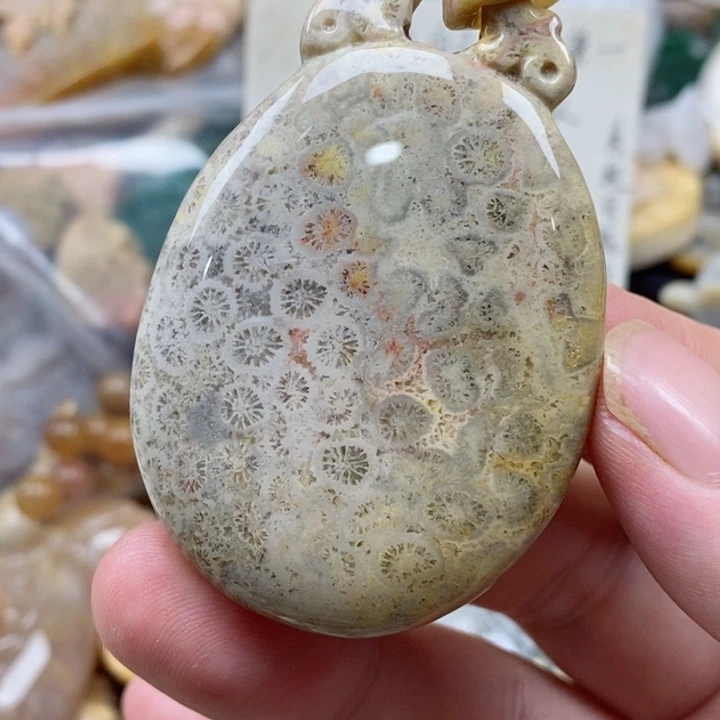 硅化珊瑚（珊瑚玉）未镶嵌颈饰