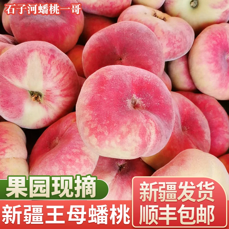 【顺丰空运】新疆石河子143团正宗蟠桃新鲜水果采摘孕妇