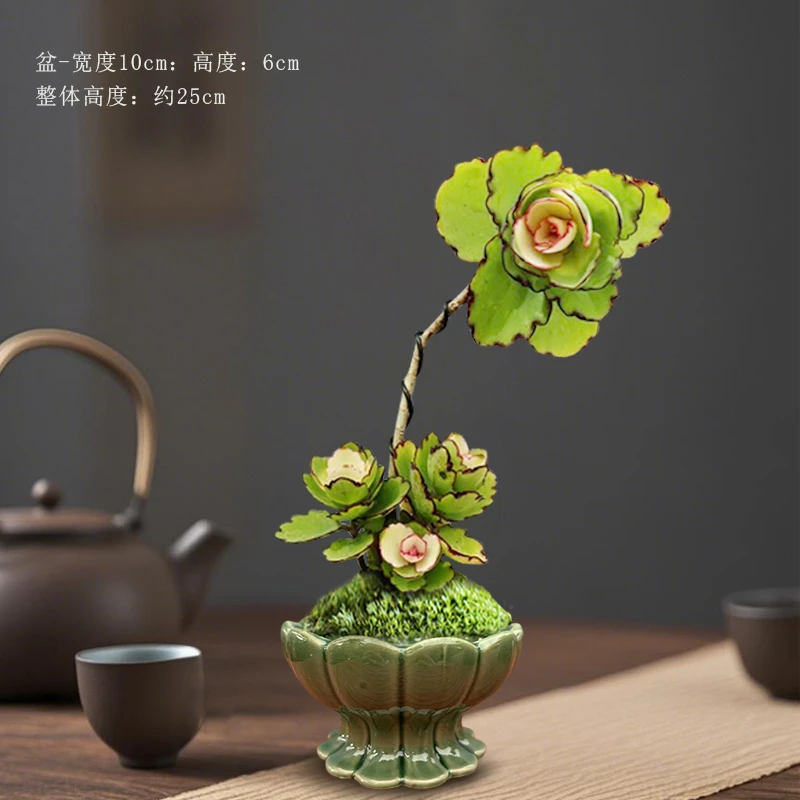 锦绣牡丹多肉苔藓球植物造型绿植盆栽室内办公室桌面好养花卉盆景