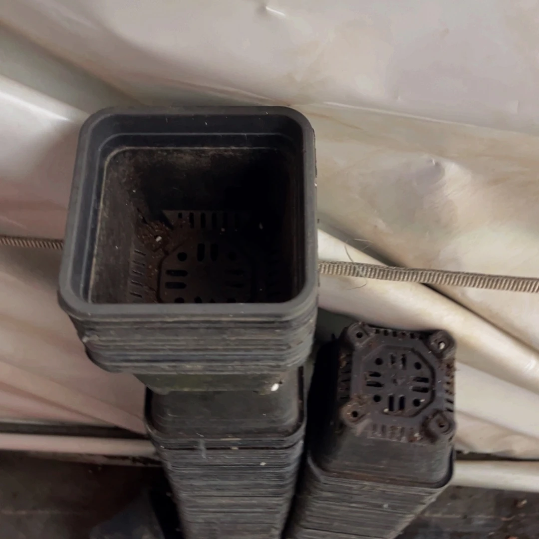 旧口径12高度9 黑方盆30个