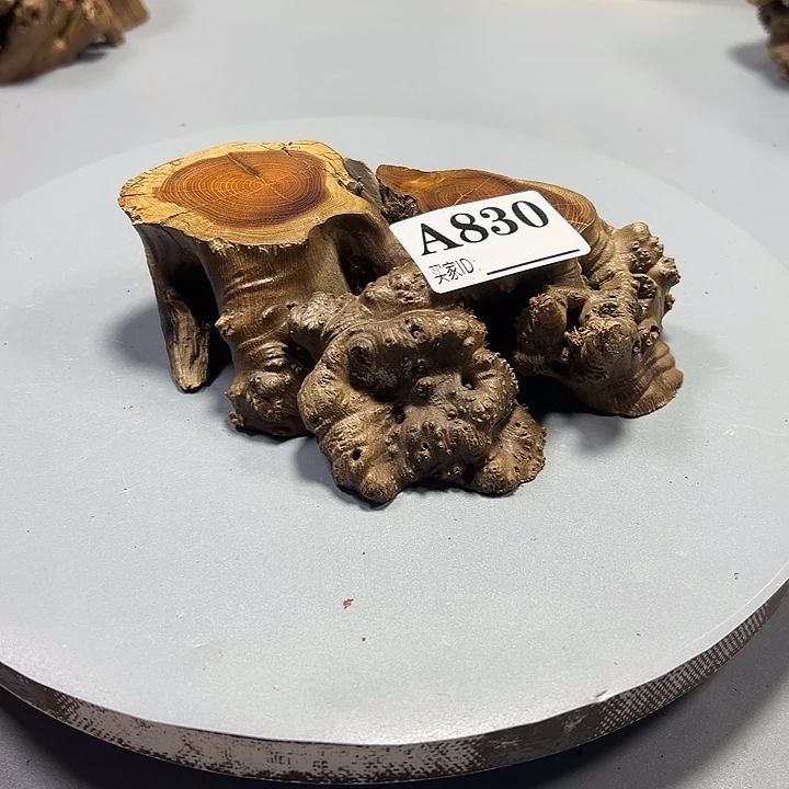 烈***日大果紫檀（缅甸花梨）