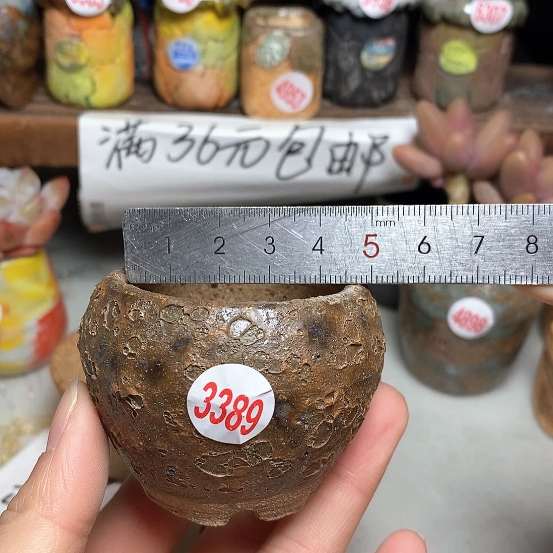 红陶拍5送一个小