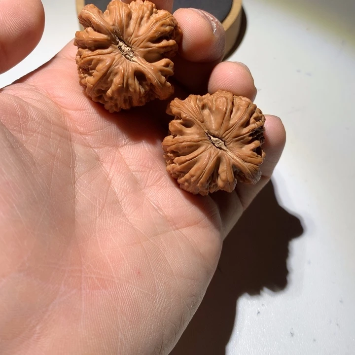 把件文玩核桃白狮子