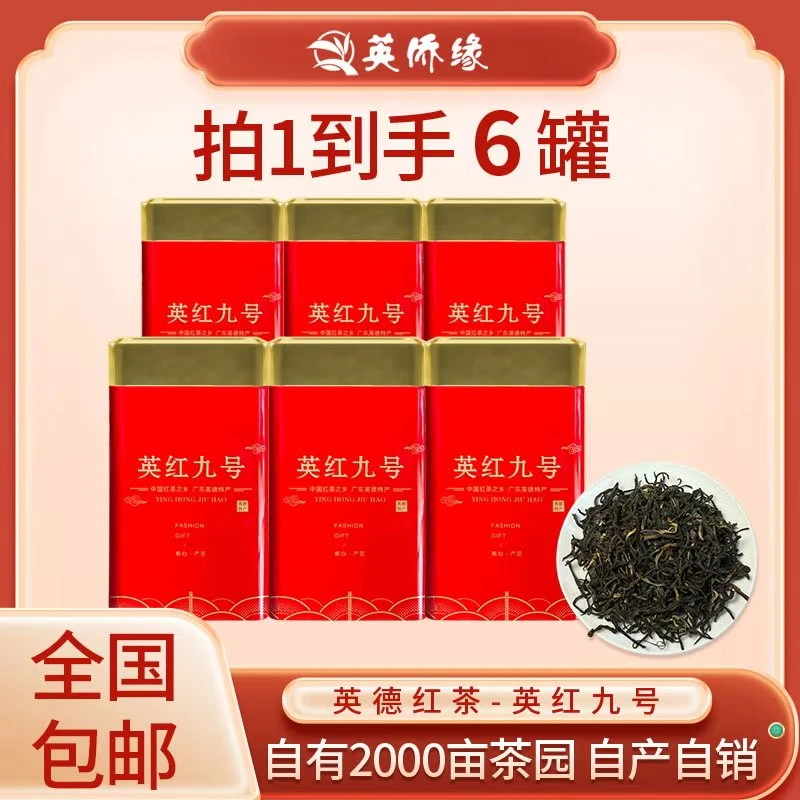 英寻味【王总专属】2025年英红九号浓香型新茶春茶红茶精选高级送礼
