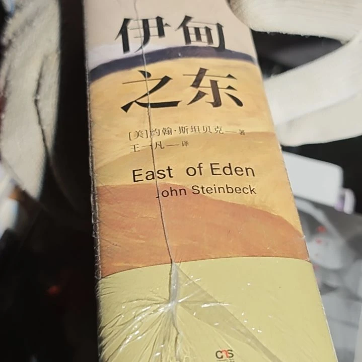 伊甸之东精装塑封库存书