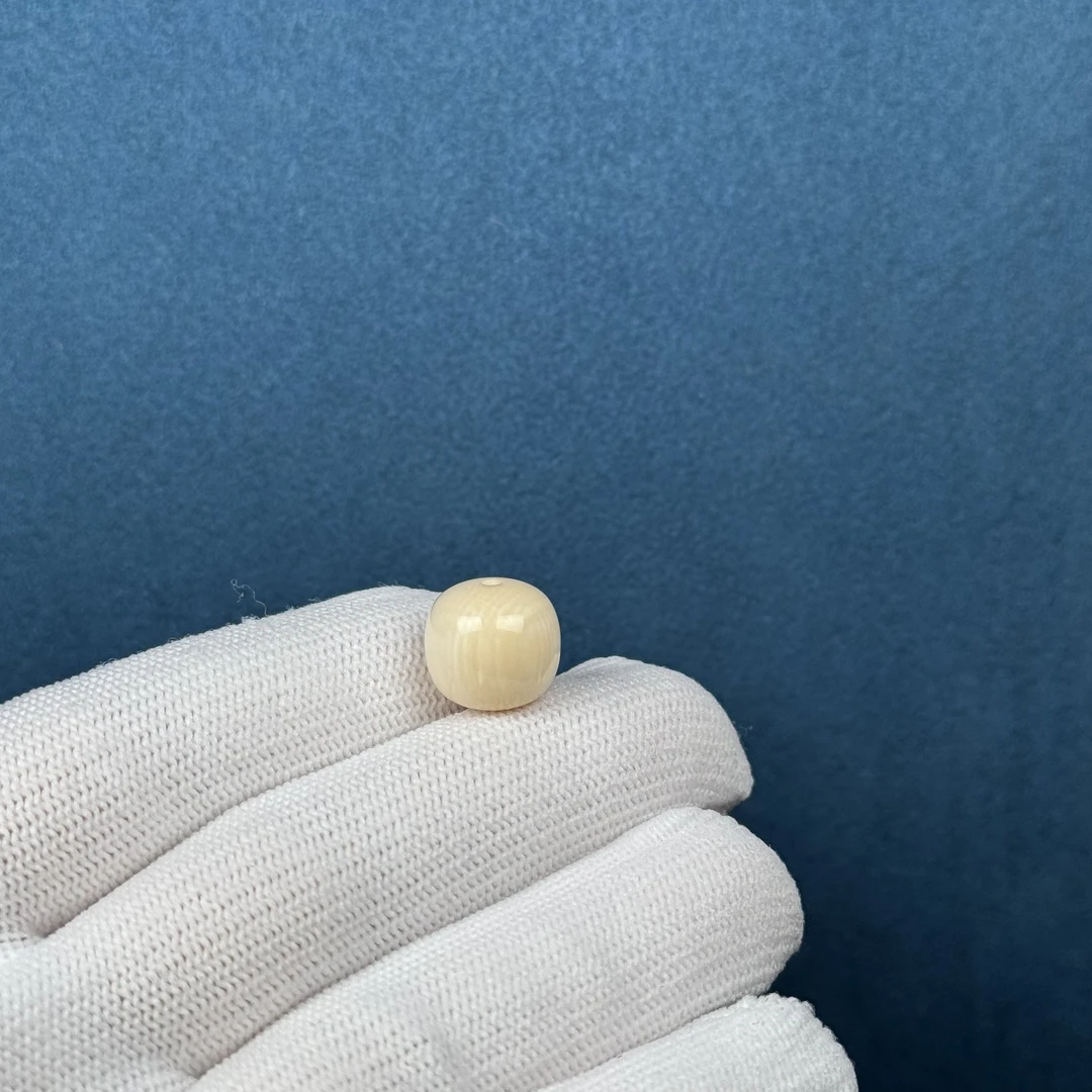 D82-60天然猛犸牙 桶珠墩子约12×11mm支持复检假一罚四