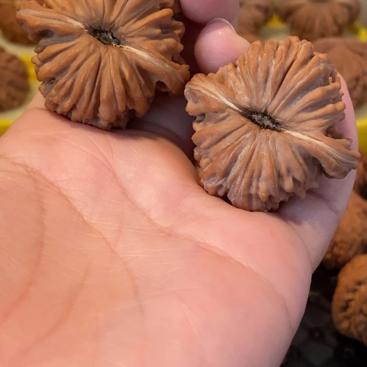 可***儿核桃文玩四座楼 40