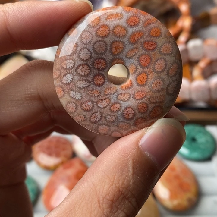 之***生硅化玉未镶嵌珊瑚玉