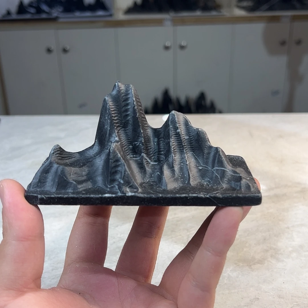 灵璧奇石博览会金奖