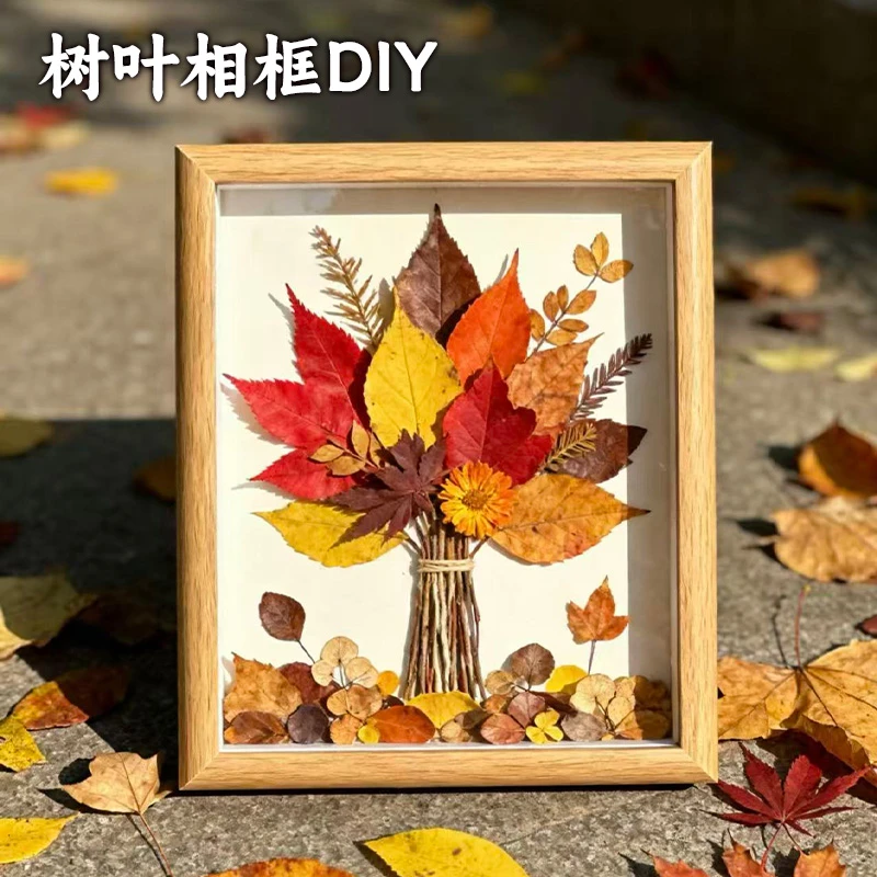 落叶相框多宫格树叶标本diy捡秋36宫格秋天格子叶子画框收集手工