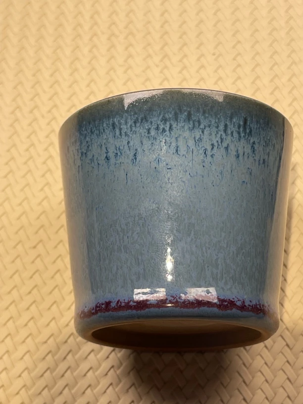 单杯拍单专用直播间