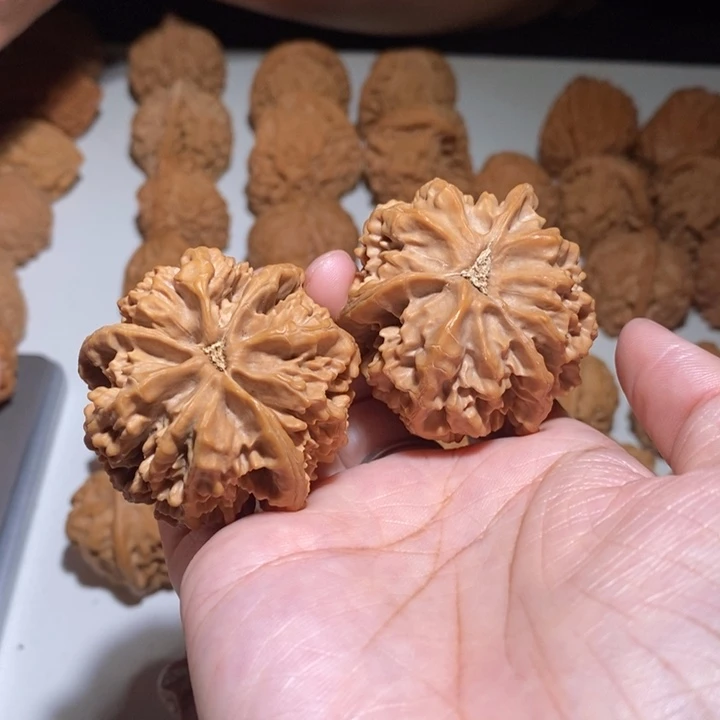 ****刘文玩核桃吊坠龙纹奔