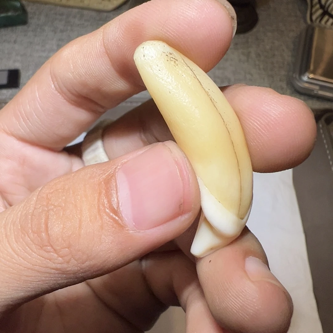 石膏制品哈哈哈哈