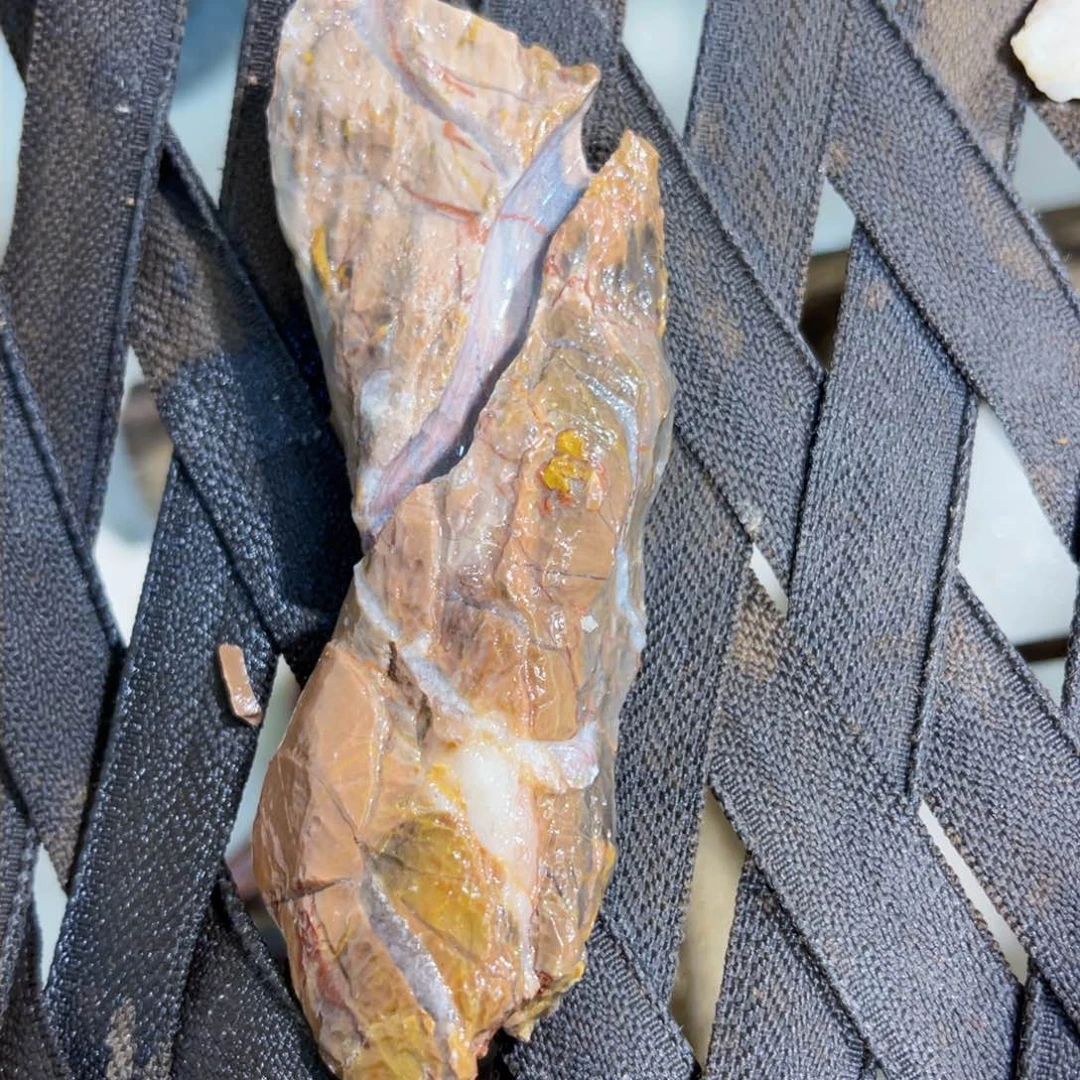 ?****?附石盆景一物一拍