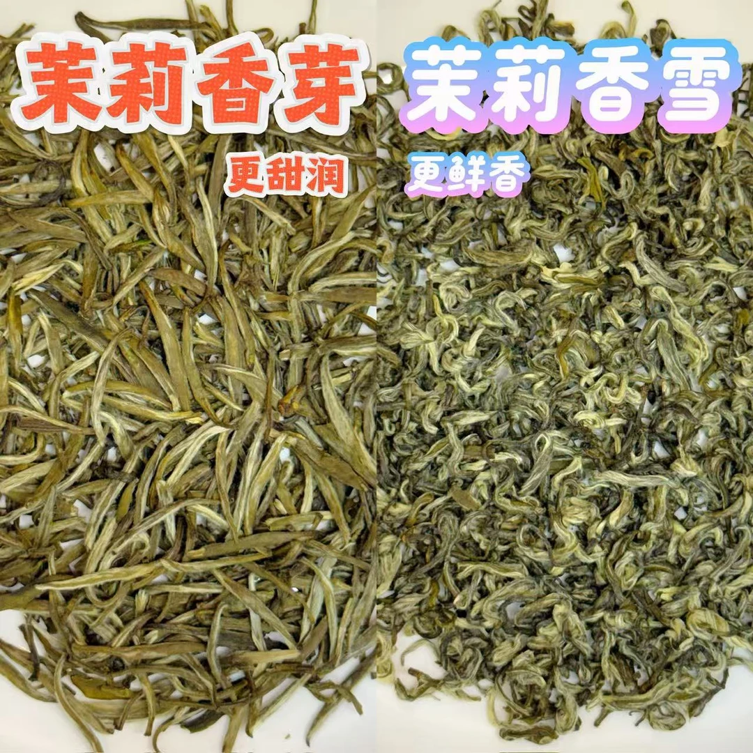 [小高货双拼] 茉莉香芽+香雪八窨浓香小芽小叶香甜回甘 花香馥郁