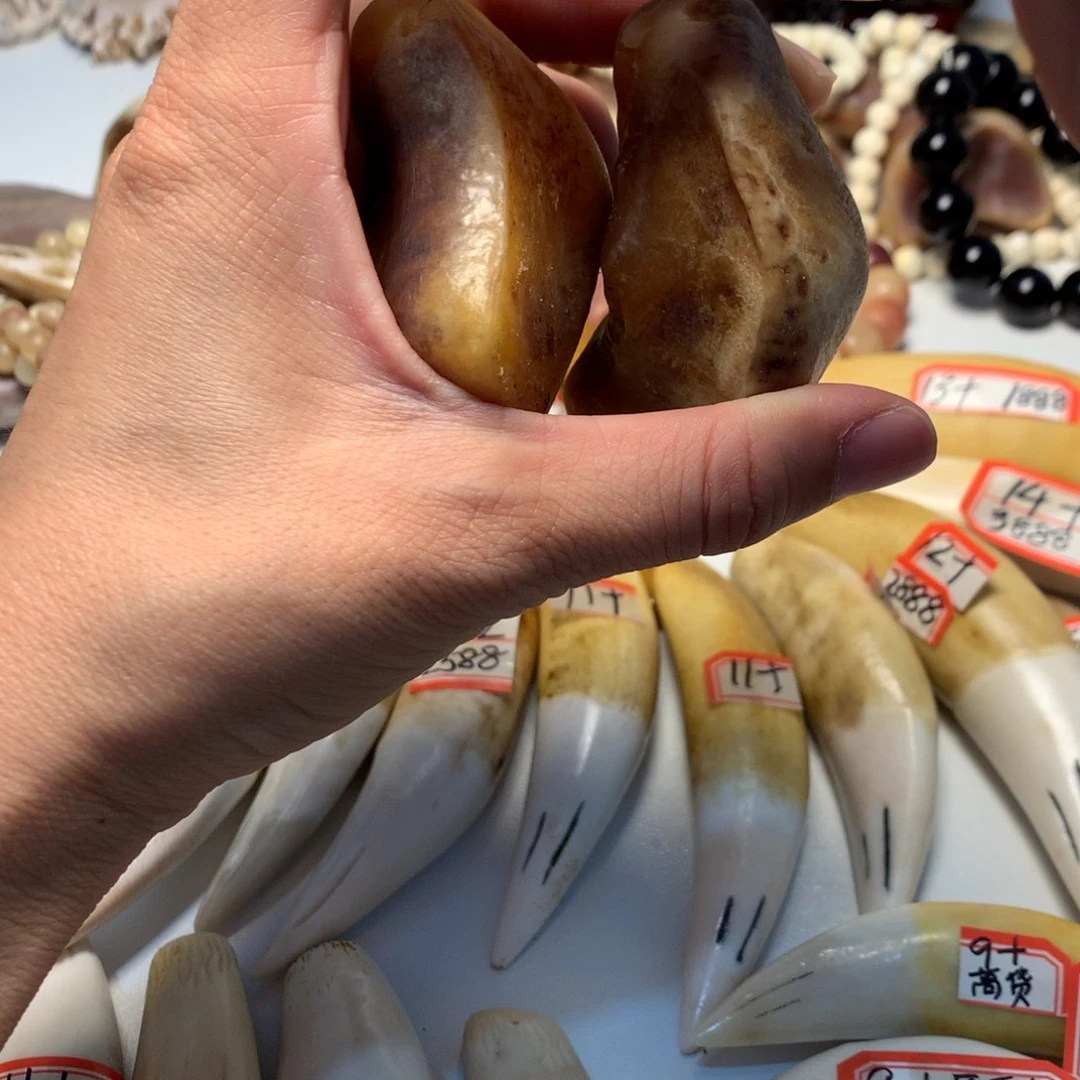 驼骨把件驼骨把件两块