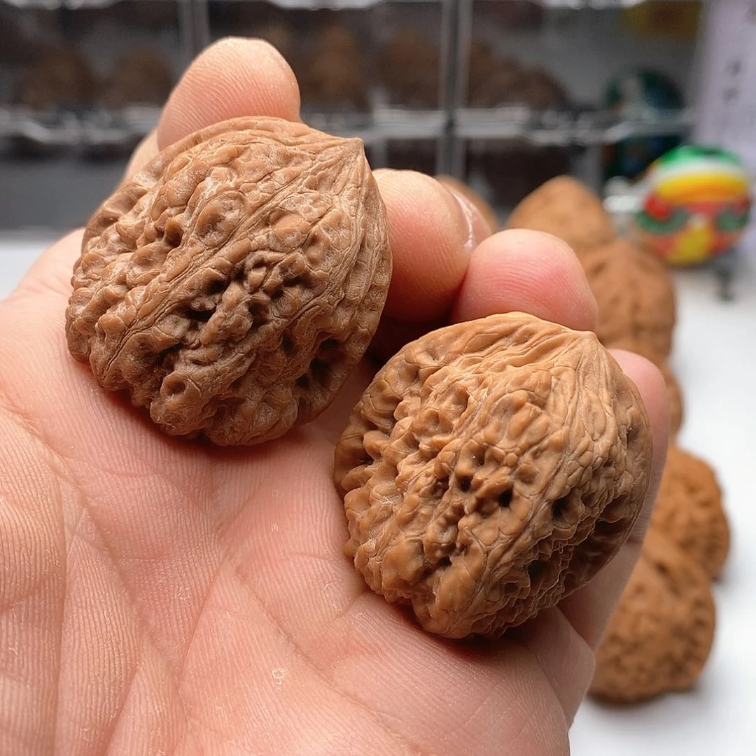 晨**甯福利奥迪8888888