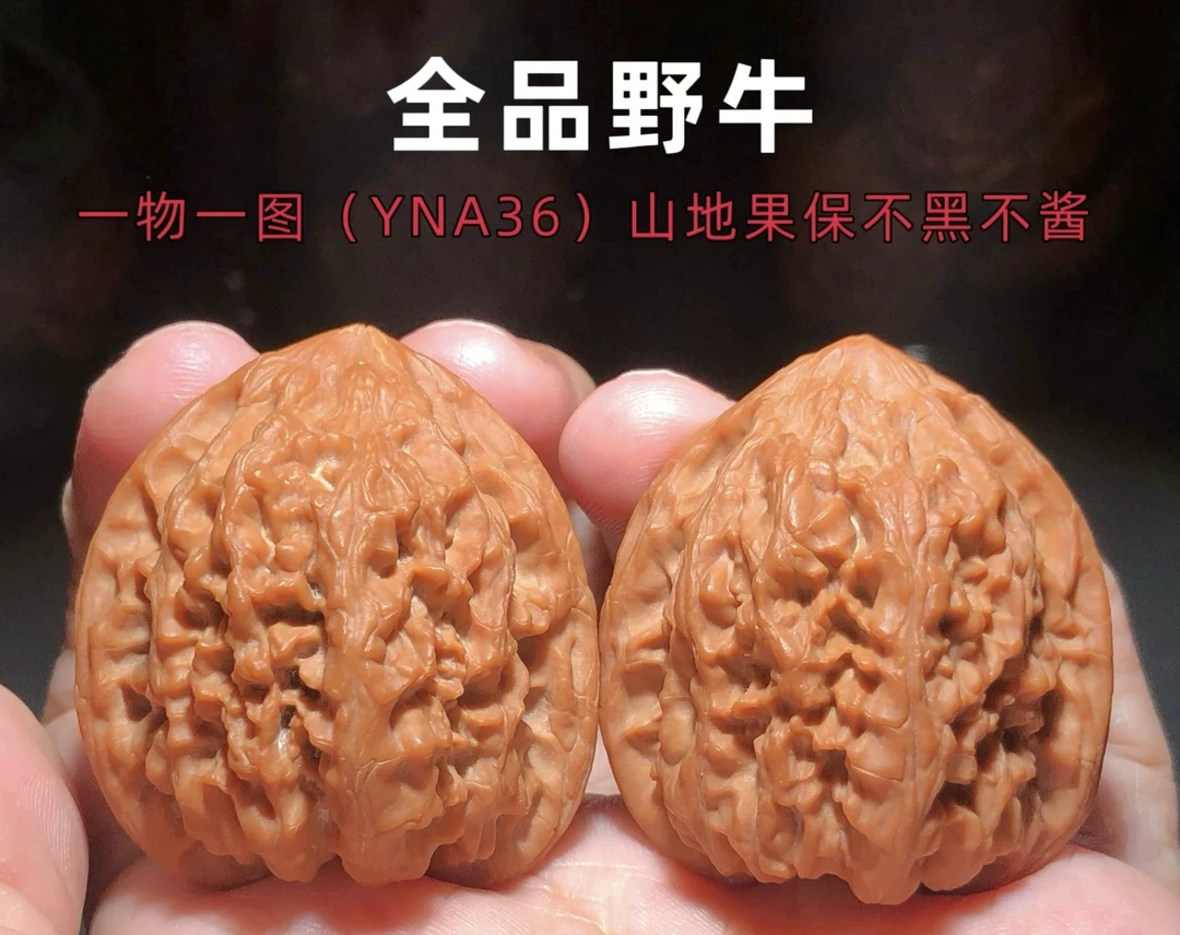 【晴天】野生野牛核桃。精配对，上色快，密度高，毕业对！