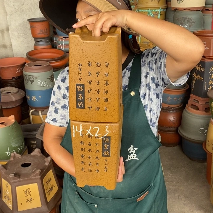紫砂花盆紫砂花盆