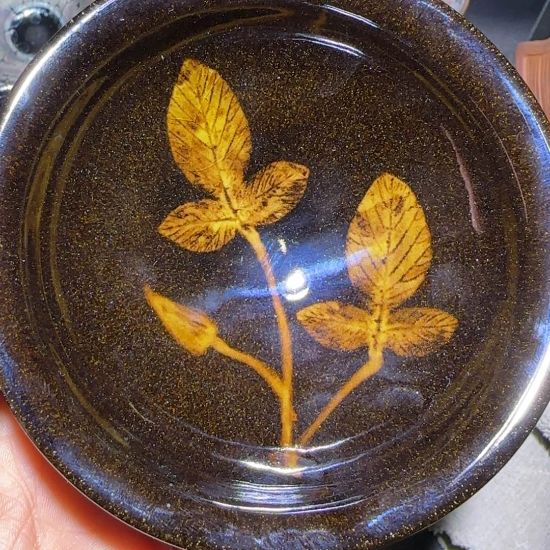 茶盏福建盏茶器官帽