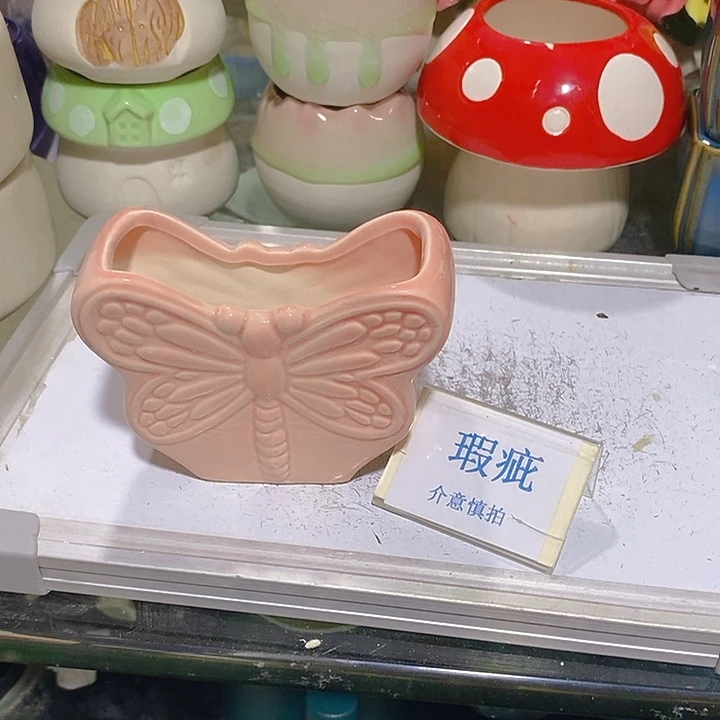 摆件多肉瑕疵盆有孔。