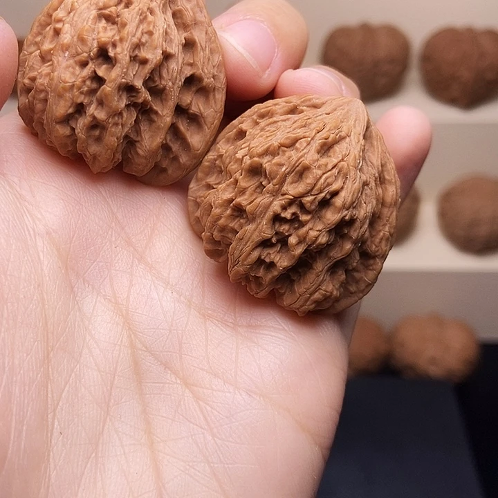 核桃野生山地果三角密纹
