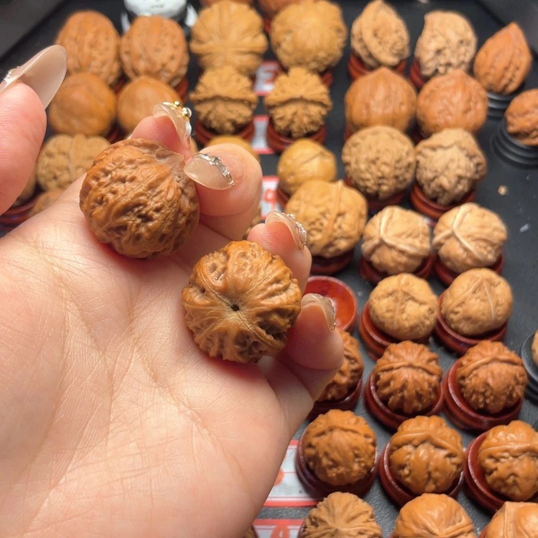 گ**龙核桃。。。。。。。