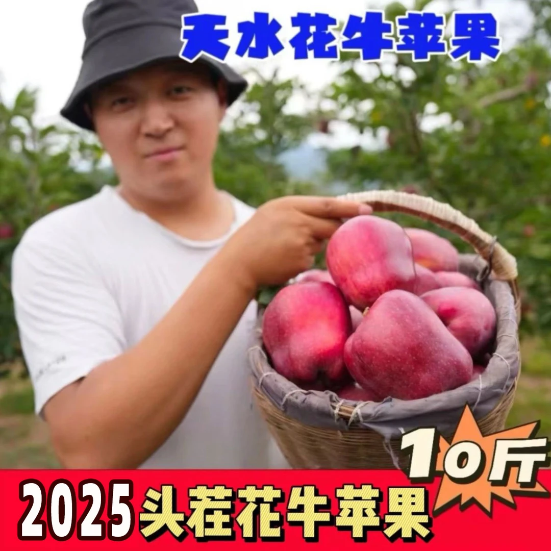 【2025头茬新果】自家天水花牛苹果当季婴儿辅食刮泥应季水果