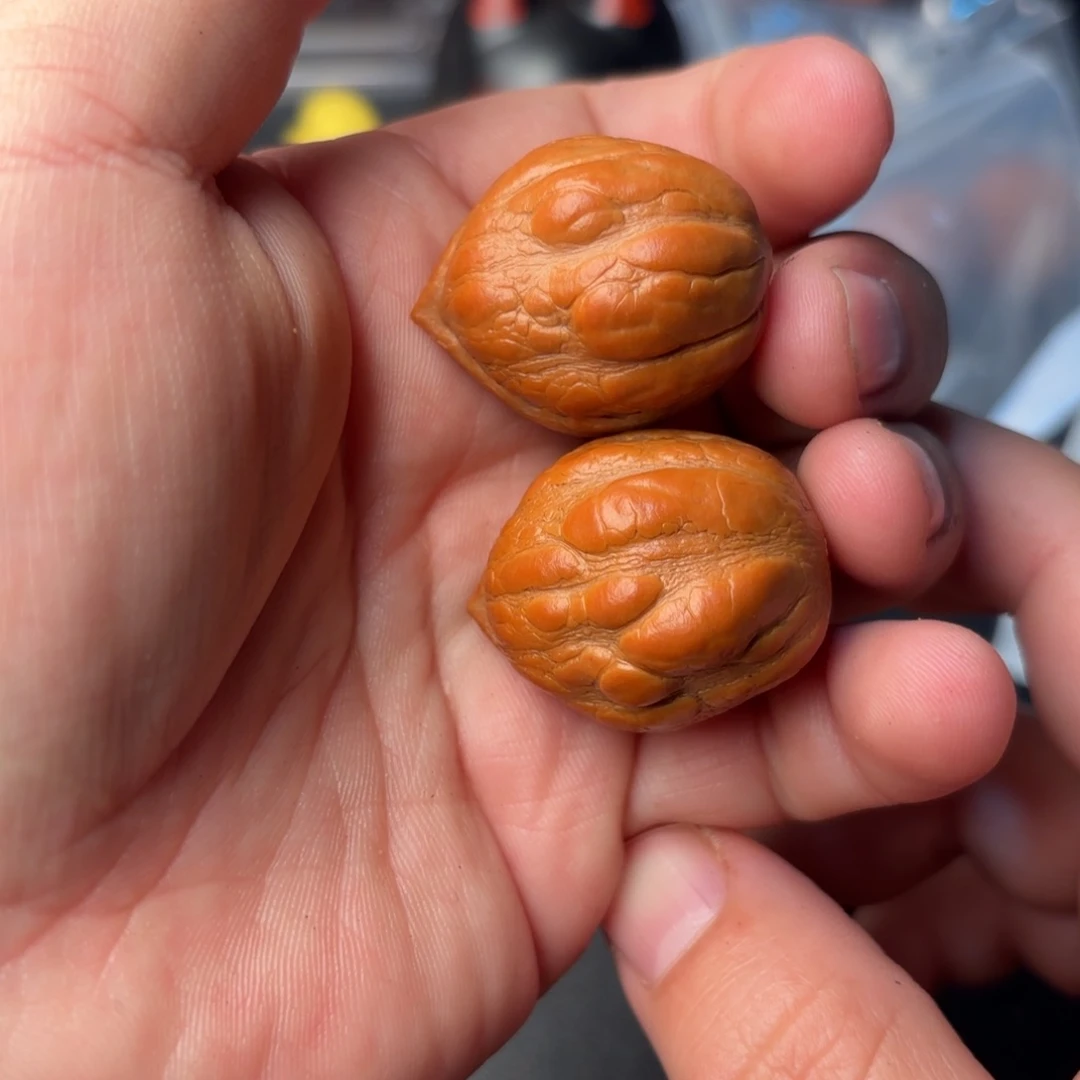 文玩核桃把件92000000