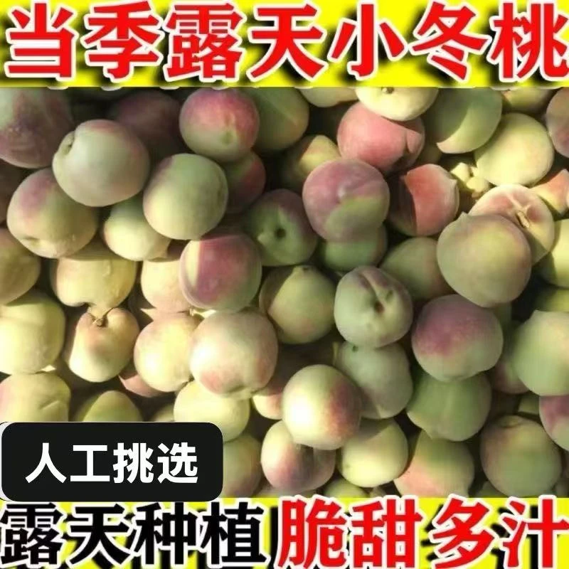 【发25个】山东小冬桃小时候的味道新鲜毛桃脆桃当季水果