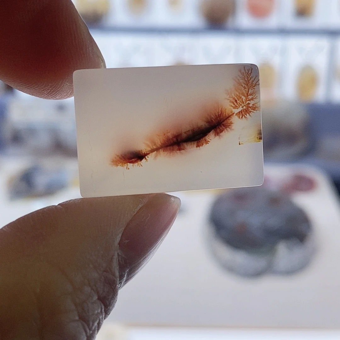 未镶嵌玛瑙/玉髓珠宝奇石