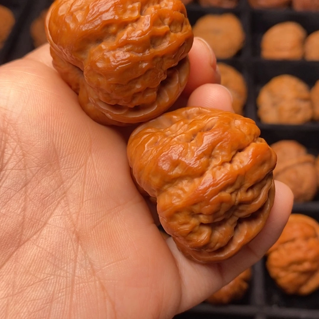 文玩核桃把件秦岭野生核桃