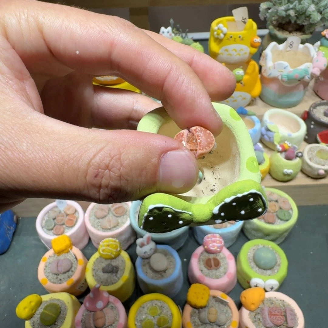 红陶妮*酱蘑菇585c218a饼干