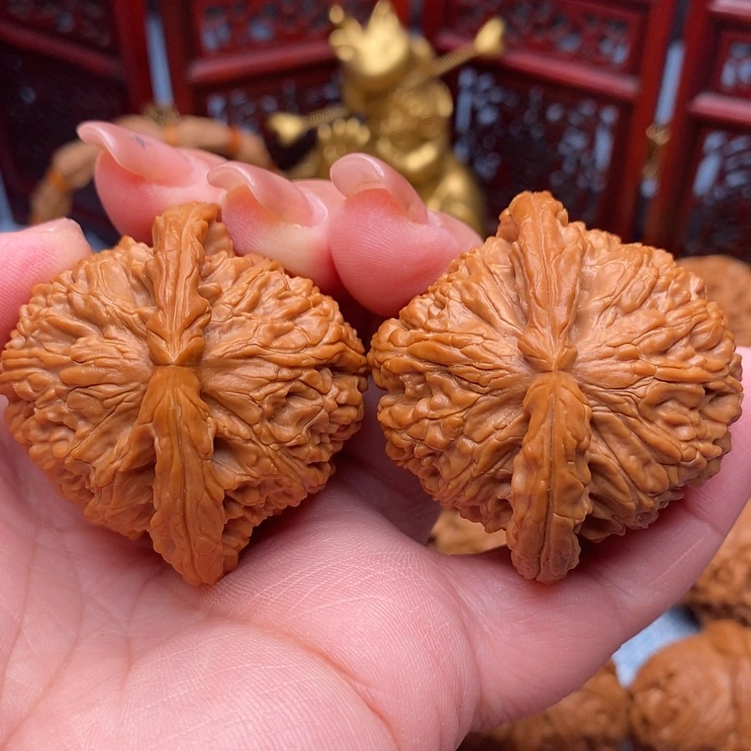 文玩核桃把件45全品毕业白狮子