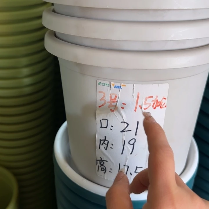 口径21灰白无托10个3号