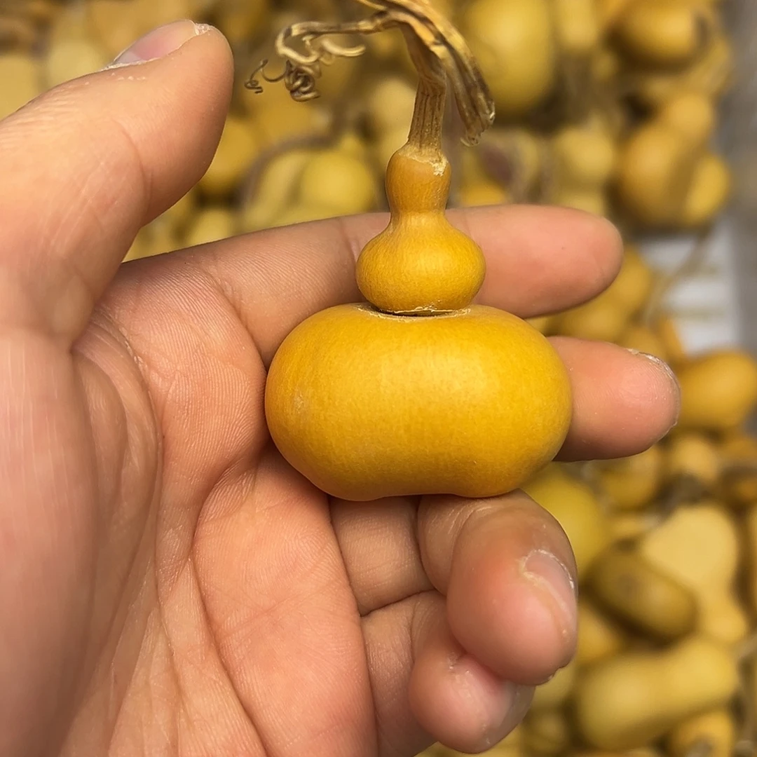 13 葫芦不退不换无客服售后