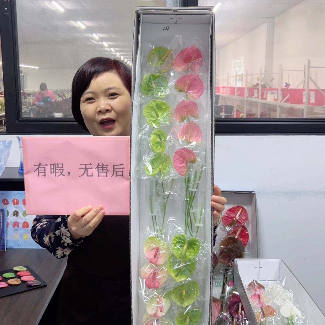 完全开放混色20枝迷你无售后款212