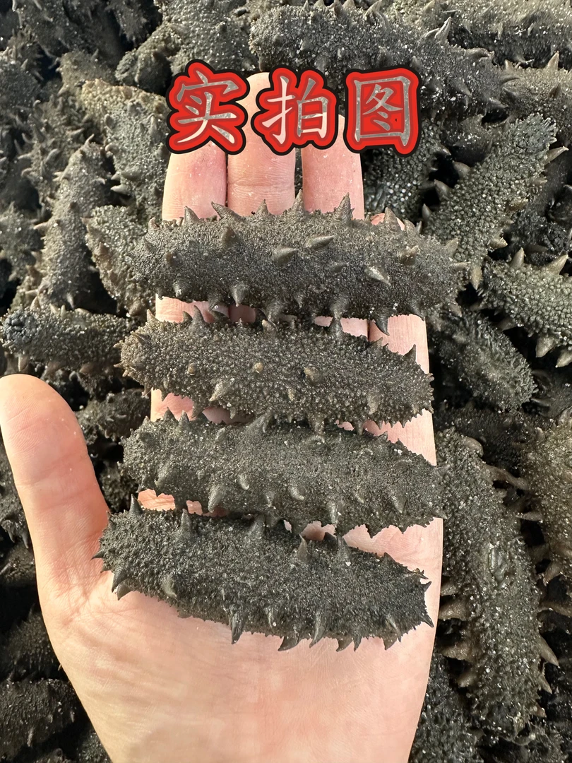 【主播自留】真围堰 大连半干拉缸盐海参 25头左右/500g
