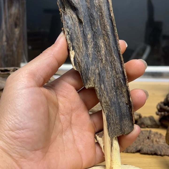 飞***鸟沉香碎屑沉香红骨凹身101克