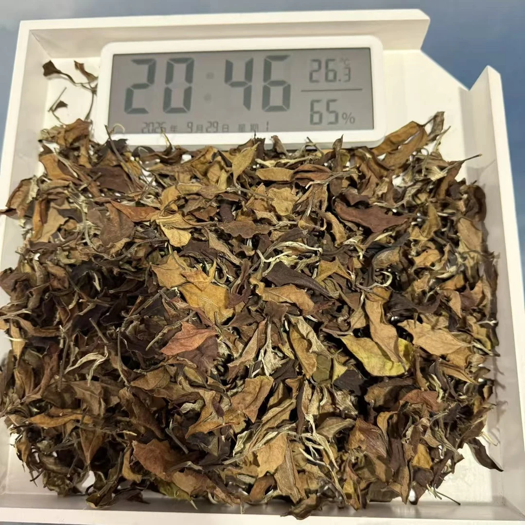 A08-钟兰珍-2024年三合社白茶