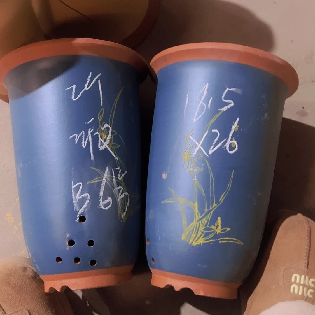 紫砂36………………………………