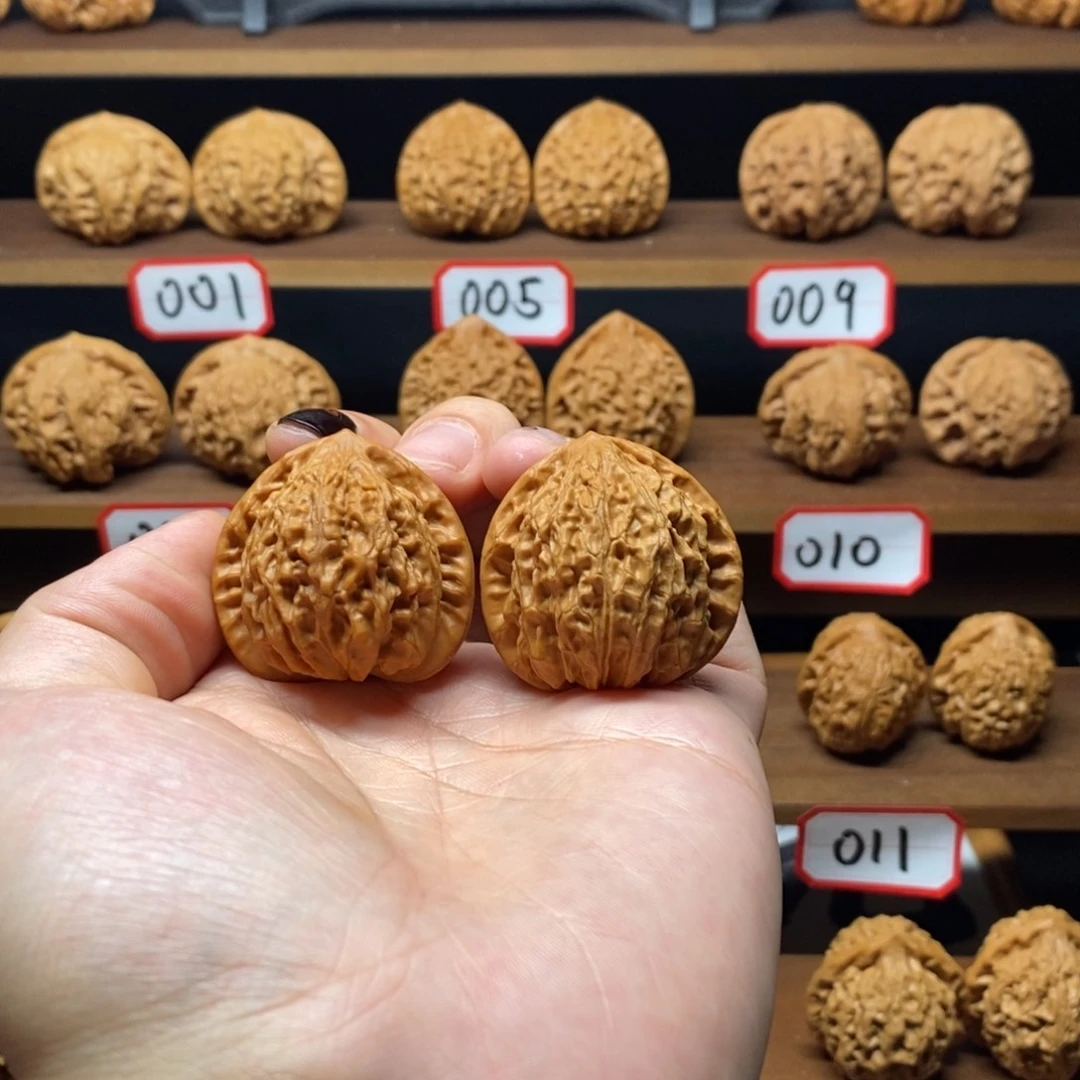 37尺微修金牛008号