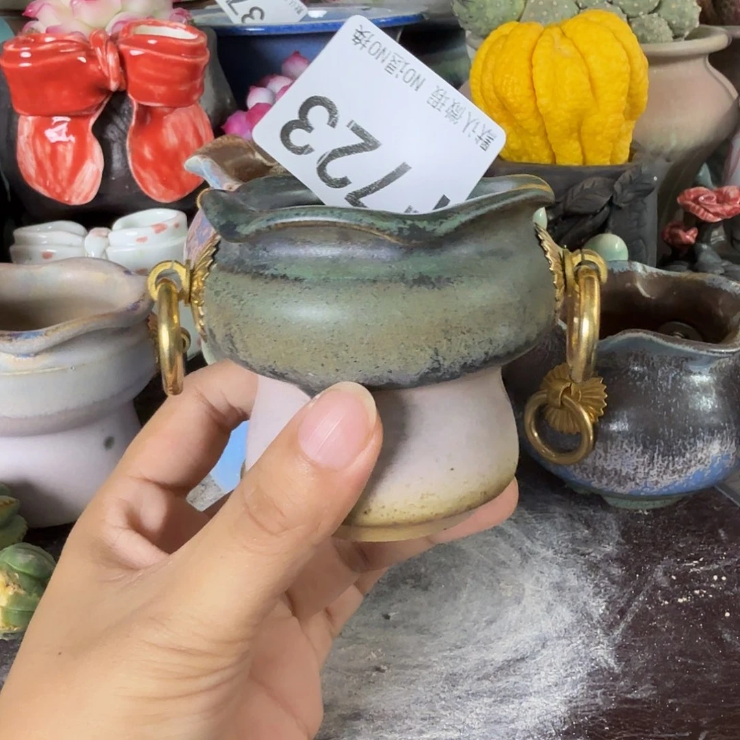 重庆小燕子欢迎大家723